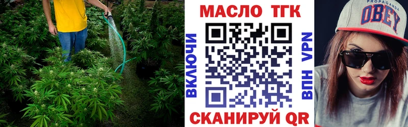 shop как зайти  Курчалой  ТГК гашишное масло  купить  сайты 