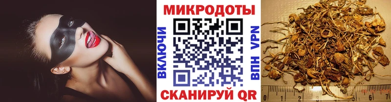 Галлюциногенные грибы MAGIC MUSHROOMS  Курчалой 
